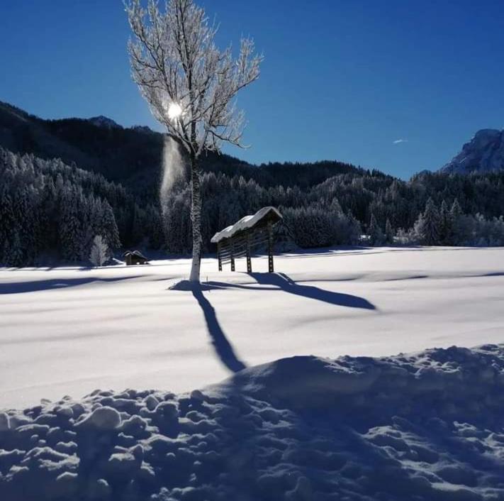 Apartments Podkoren 82 Kranjska Gora Exteriör bild